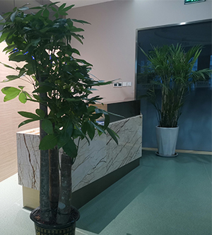 彩乐园(中国)官方网站